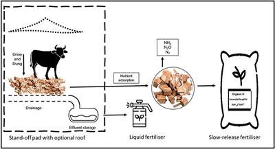 The Potential for Temporary Stand-Off Pads Integrated With Poplar and Willow Silvopastoral Systems for Managing Nitrogen Leaching